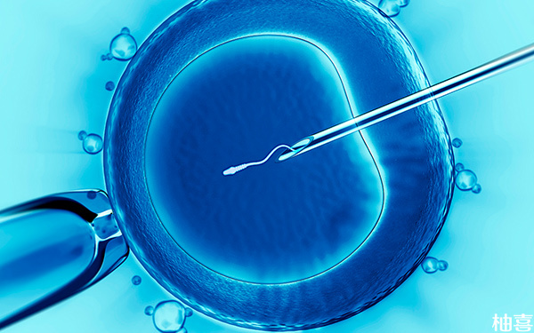 二级八细胞等级的胚胎移植后着床成功率怎么样?