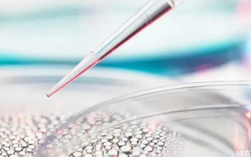 胚胎培养受到实验室环境的影响