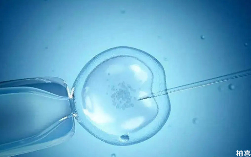 鲜胚移植17天双胎HCG比单胎妊娠更多