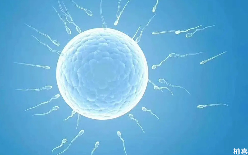 胚胎着床后体内激素水平会升高