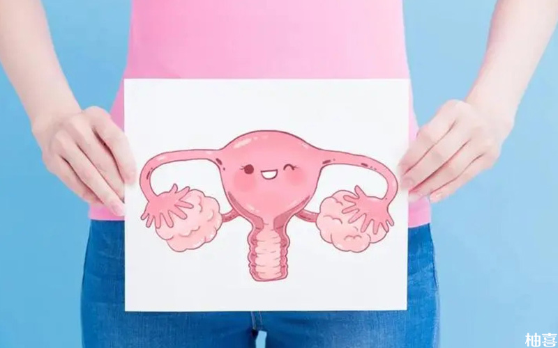 子宫条件会影响胚胎着床