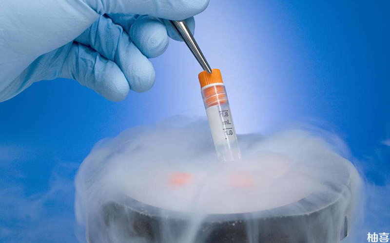 不同患者的胚胎冷冻的方式不同