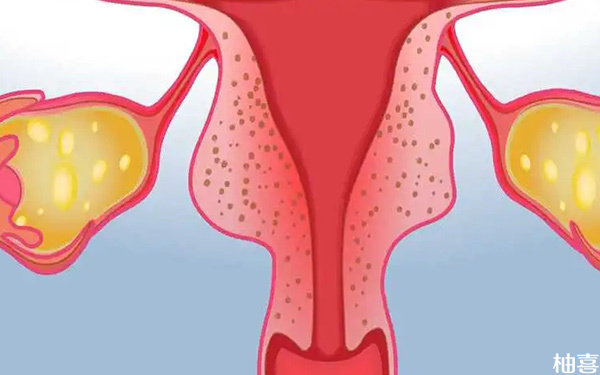 鲜胚移植当天子宫内膜12mm容易着床成功吗?