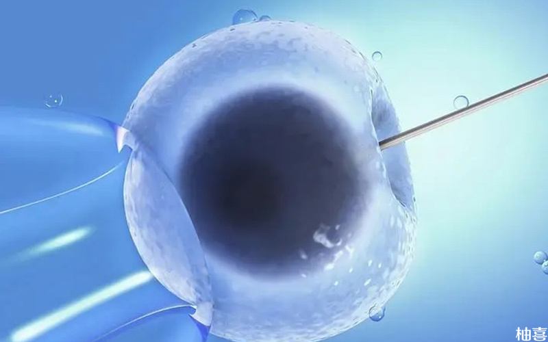 胚胎移植的时间也是因人而异的