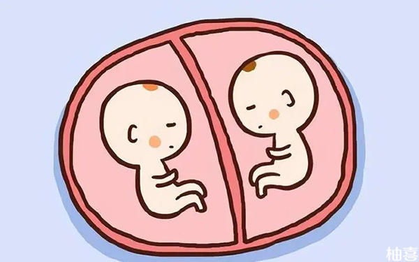 36岁怀试管婴儿双胞胎早产的几率有多大?
