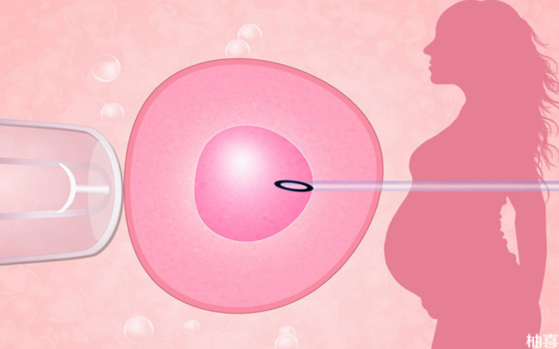移植后怀孕的概率是因人而异
