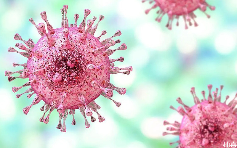 巨细胞病毒感染是移植后常见的并发症