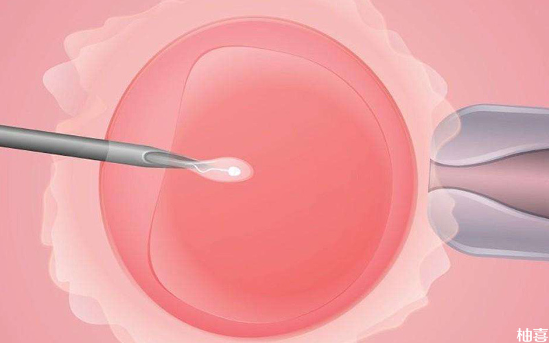 输卵管增粗会影响试管移植成功率