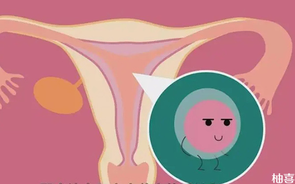 移植鲜胚出现宫外孕的几率有多大?