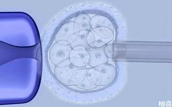 详解2pn胚胎养囊成功率，几级胚胎还要视情况而定！