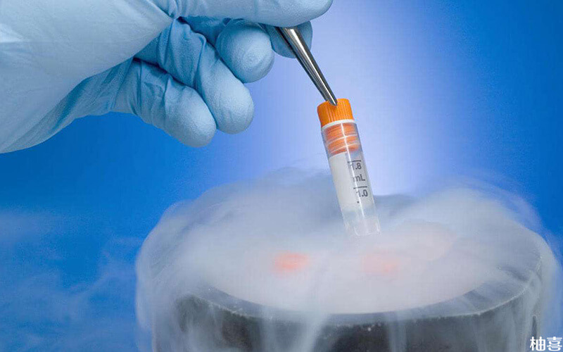 一管冻几个胚胎一般是由医生来决定的