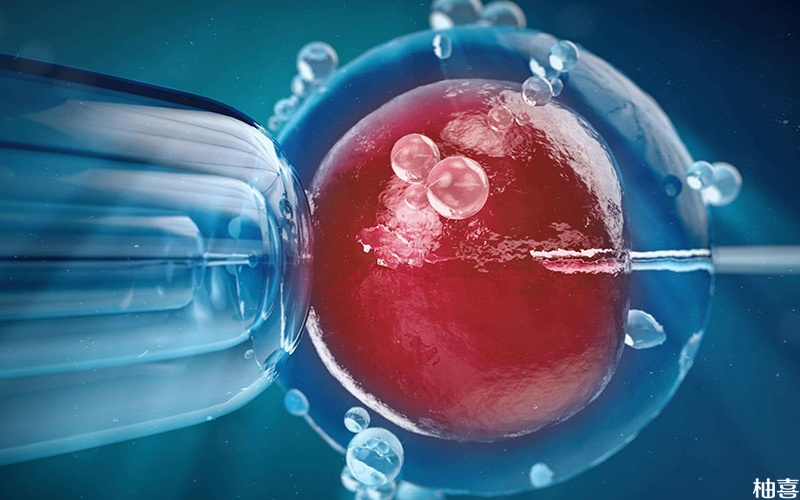 冻胚移植后1-5天胚胎接触子宫