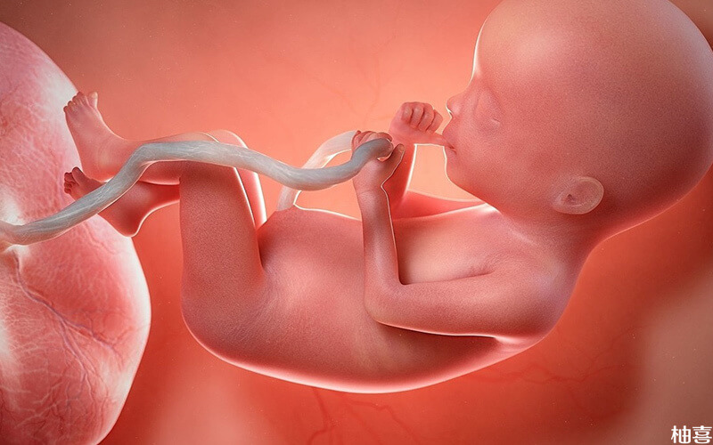 输卵管积水试管移植成功对胎儿有影响