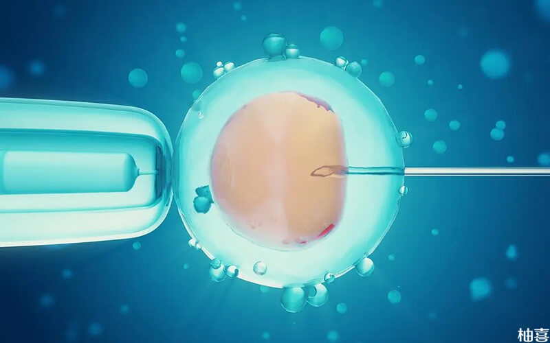 三代试管移植对胚胎质量要求比较高