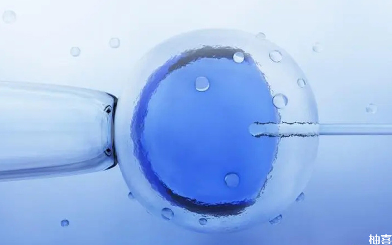 三代试管移植的囊胚和普通胚胎均是冷冻的