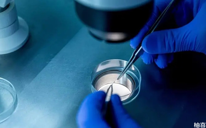 三代试管可对胚胎染色体进行筛查