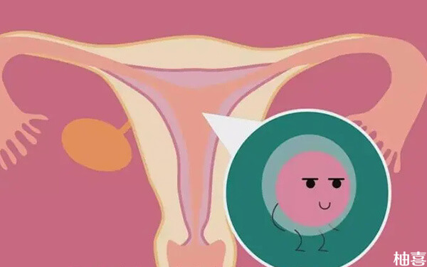 囊胚移植成功24天后宫外孕的几率大吗?