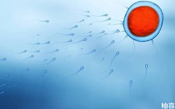 同房精子射入后最快多久开始游向卵子身边?