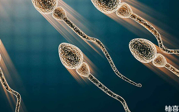 精子离开女性体内在手上最多能存活多久时间?