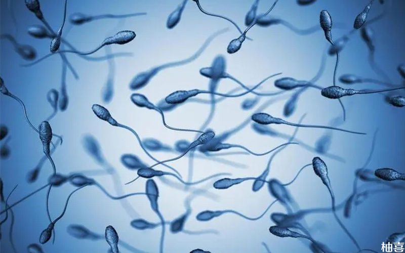 精子存活时间收到酸碱度的影响