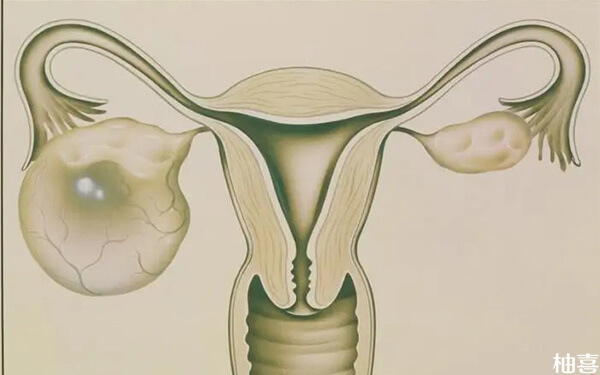 子宫内膜薄只有0.4宫腔灌注一般做几次才有增长效果?