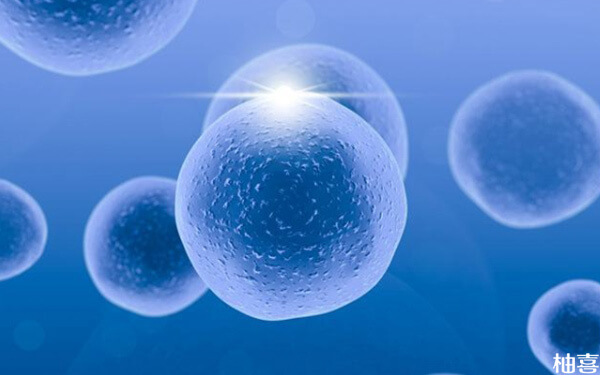 多囊排卵期雌二醇低是不是说明空卵泡多?
