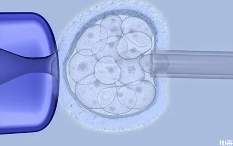 获卵数主要由卵巢的储备能力决定