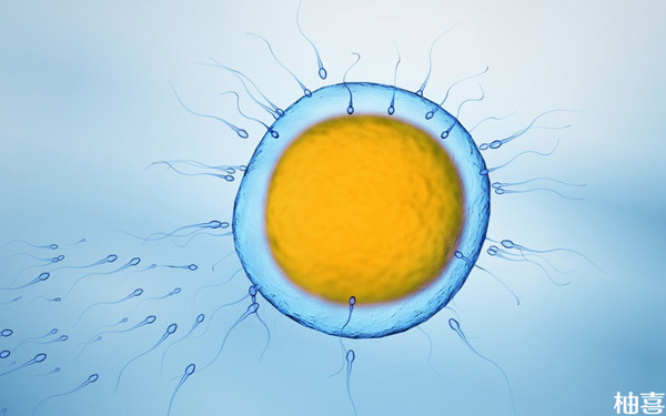 3pn胚胎是几级的胚胎自有定论！受精异常别以为有转圜余地