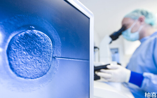三代试管养囊后送检2个胚胎有希望成功吗?