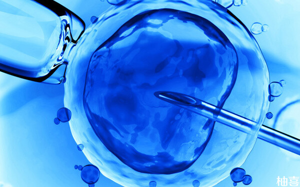 三代试管17号30%嵌合体胚胎适合移植吗?