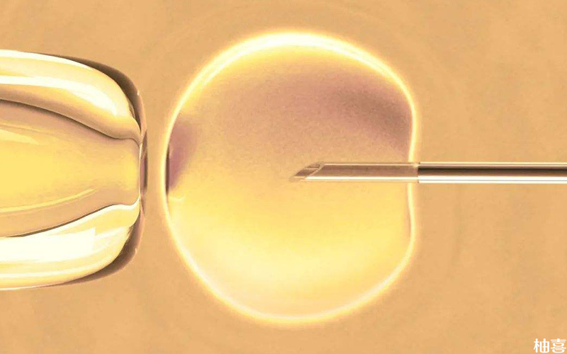 三代嵌合体胚胎移植成功率低