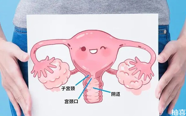试管移植前子宫内膜血流2级什么意思?