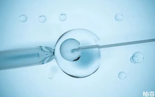试管微刺激促排方案为什么不能移植鲜胚而要移植冻胚?