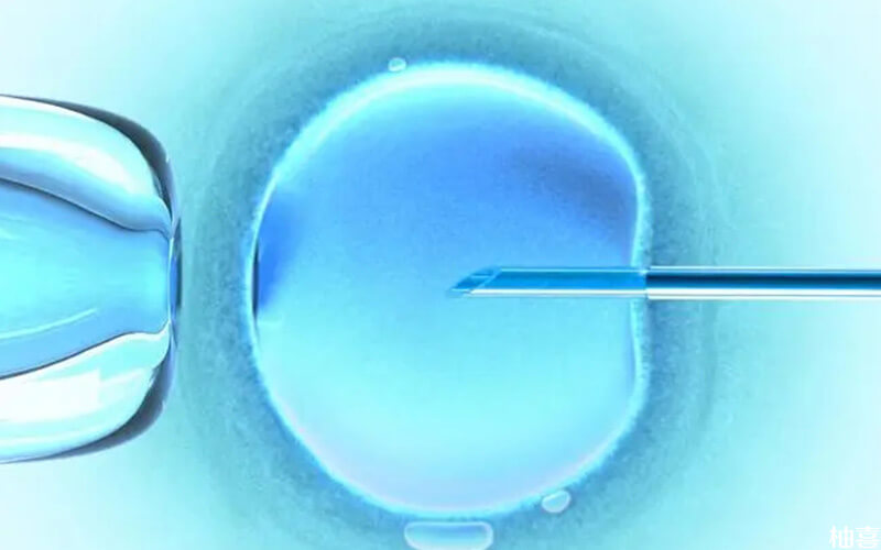 鲜胚移植需要满足条件