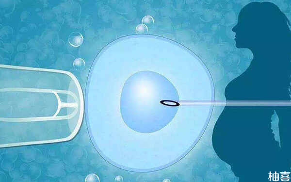 做试管移植两个囊胚成功怀上双胞胎的几率高吗?