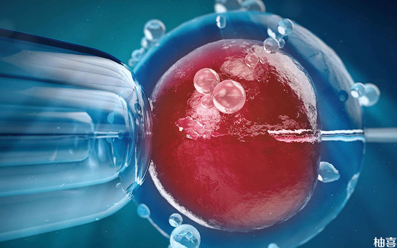 胚胎解冻后移植质量不会有太大影响