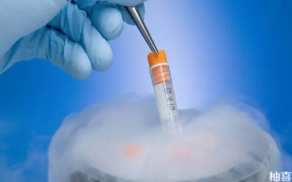 试管婴儿胚胎冷冻临床上一管放几个胚胎比较标准?
