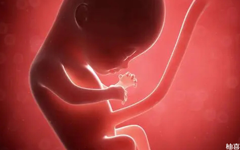 孕期定期产检可减少胎儿患病概率