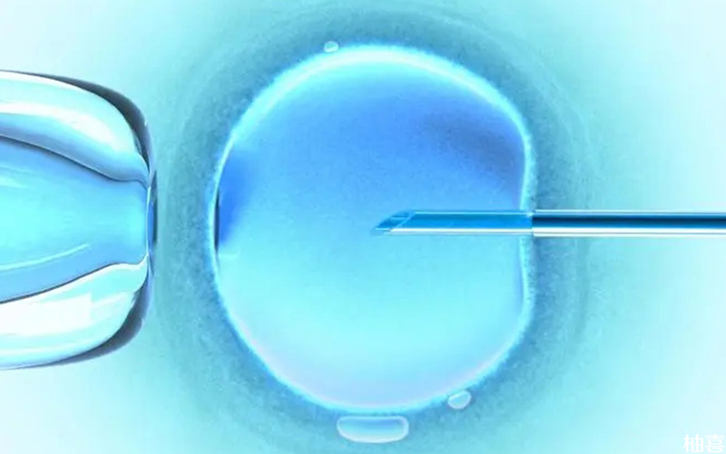 冻胚移植成功率受很多因素的影响