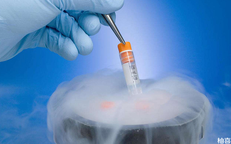 胚胎冷冻费包括冷冻费用和储存费用