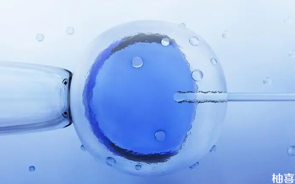 试管FET周期方案最晚多久可以移植胚胎?