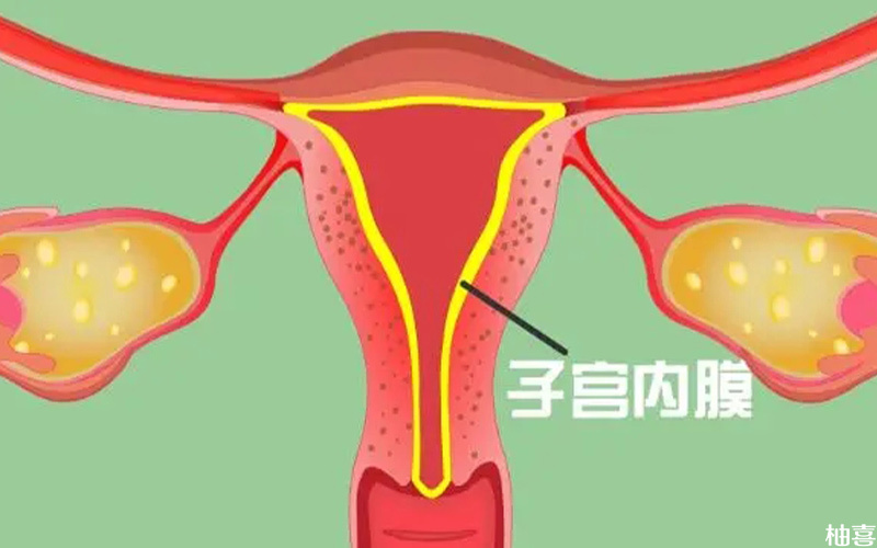 子宫内膜厚度影响移植时间