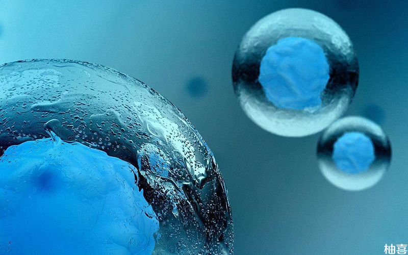 胚胎冷冻和解冻对实验室环境要求严格