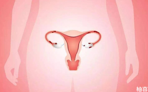 详解子宫内膜a型和b型的3大区别，移植选择哪个好一目了然！