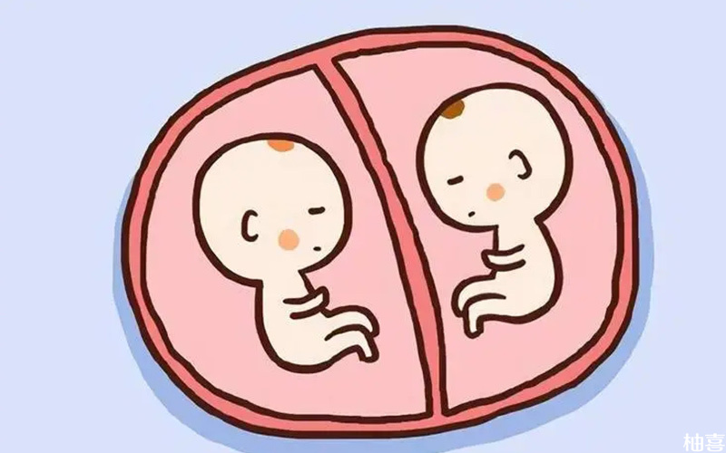 怀双胞胎受很多因素影响