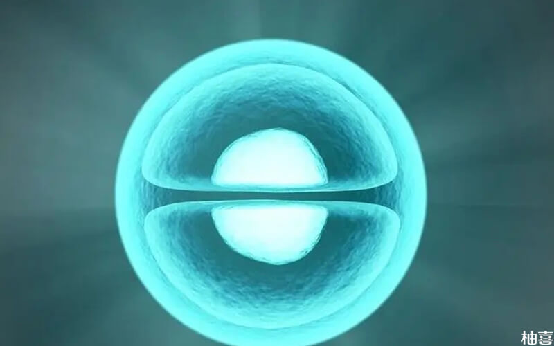 一级6细胞的胚胎质量相对而言最好