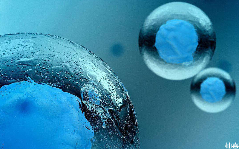 7细胞2级胚胎质量比较高