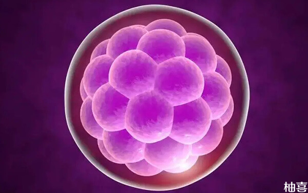 试管培养三天的胚胎821是什么级别？