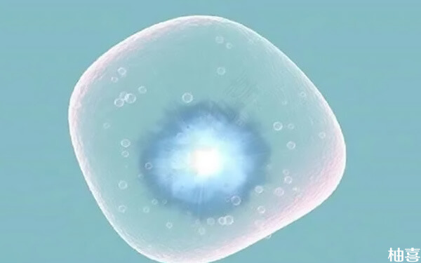 胚胎质量不好养囊三天却成功了移植有问题吗？