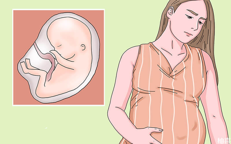 女性试管移植成功怀孕后需要保胎